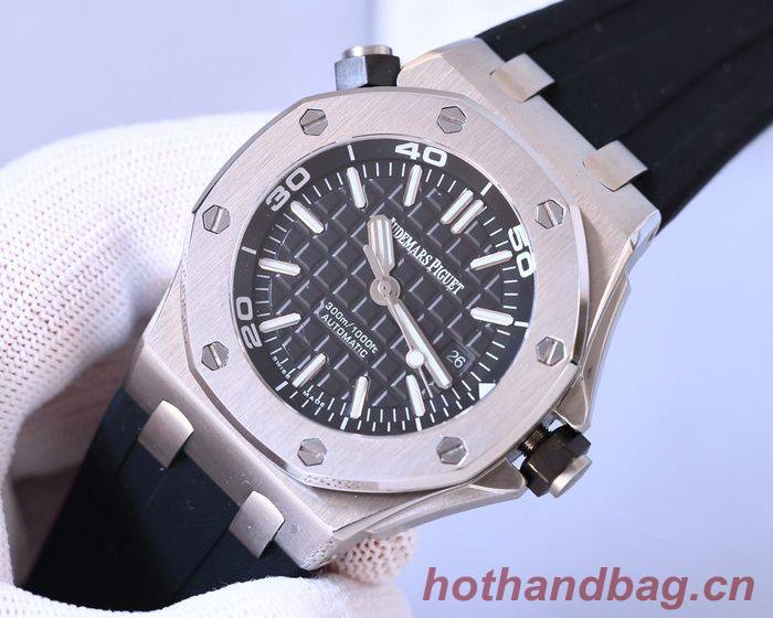 Audemars Piguet Watch APW00065-3